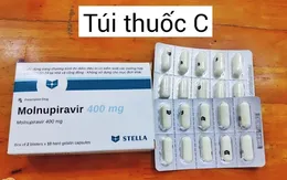 Quy trình triển khai chương trình sử dụng thuốc kháng virus Molnupiravir