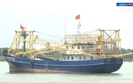 Nỗi lo nợ xấu tàu cá vỏ sắt