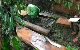 Từ vụ vận chuyển gỗ, phát hiện xưởng tàng trữ, sản xuất lâm sản trái phép