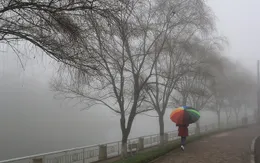 Lào Cai: Không khí lạnh đạt ngưỡng cực đại, Sa Pa giảm còn 6 độ C