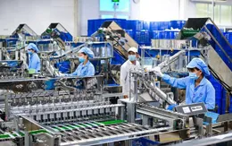TP. Hồ Chí Minh: Cập nhật hướng dẫn tổ chức xét nghiệm tại các cơ sở lao động