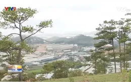 Lâm Đồng: Cho thuê môi trường rừng để làm du lịch sinh thái