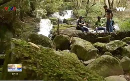 Du lịch vườn rừng, những lựa chọn mới của du khách