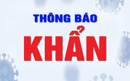 Quận Ba Đình tìm người đến cửa hàng Vinmart, phòng khám Vĩnh Hà, Công ty CPXD số 2