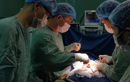 Phẫu thuật lấy khối tóc nặng gần nửa cân trong dạ dày bé 7 tuổi