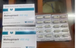 Yêu cầu Sở Y tế TP Hồ Chí Minh kiểm tra việc cấp phát thuốc Molnupiravir điều trị COVID-19