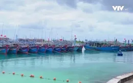 Hơn 100 tàu cá đã tránh trú an toàn tại Trường Sa