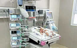 Bé sơ sinh bị ngộ độc, suy đa tạng do uống thuốc nam điều trị viêm da