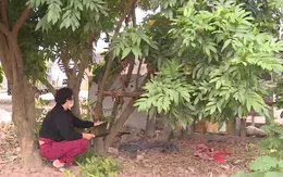 Cần linh hoạt trong công tác thu hồi đất