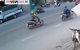 Cảnh báo tai nạn do vật nuôi băng qua đường bất ngờ