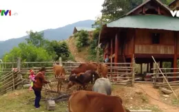 Làm sao để "lõi nghèo" thoát nghèo?