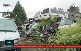 Khánh Hòa phát hiện nhiều vụ vận chuyển gỗ lậu