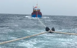 Cứu nạn tàu cá chở 12 ngư dân trên vùng biển Trường Sa