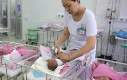 60 năm truyền thống ngành dân số vì một Việt Nam phát triển bền vững