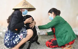 Cà Mau tăng cường tiêm vaccine phòng, chống bệnh dại cho vật nuôi