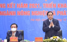 Ngành nông nghiệp cần mang lại giá trị gia tăng cao hơn nữa