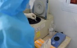 Việt Nam đã ghi nhận 108 ca nhiễm biến chủng Omicron
