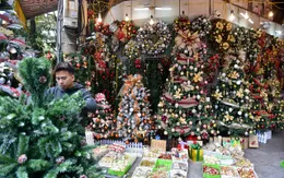 Cây thông tươi hút khách mùa Giáng sinh 2021