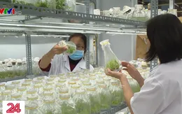 Trường đại học - Thành tố quan trọng trong hệ sinh thái khởi nghiệp sáng tạo