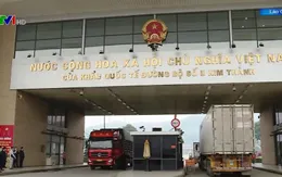 Những chuyến hàng đầu Xuân Tân Sửu 2021