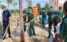 Kiên Giang: Khởi động trồng 200.000 cây ven biển chống xói lở