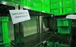 Cần thêm 20.000 đơn vị máu cho điều trị