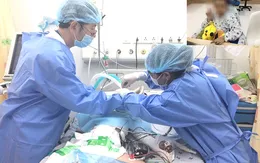 Trượt dài trên đường sau tai nạn, bé 8 tuổi lóc mảng lớn da ở thắt lưng