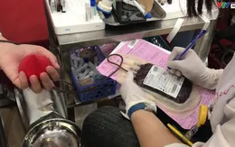 Nhân viên y tế hiến máu vì sức khỏe bà mẹ và trẻ sơ sinh