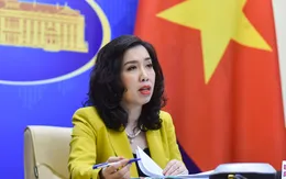 Phản ứng của Việt Nam trước việc Pháp điều tàu ngầm tuần tra Biển Đông