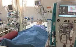 Cứu sống bệnh nhân cao tuổi sốc tim biến chứng suy đa phủ tạng