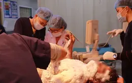 Cấp cứu bệnh nhân bị bỏng nặng do nổ bình dầu
