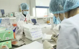 TP Hồ Chí Minh xét nghiệm lại chuyên gia nước ngoài đã nhập cảnh