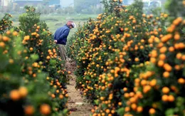 "Năm COVID-19 thứ 2": Tiền đâu tiêu Tết?