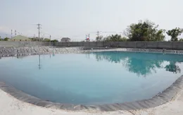 Hỗ trợ người nuôi tôm tiếp cận nguồn tôm giống chất lượng cao