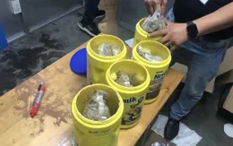 Bắt giữ 5,84 kg chất nghi là cần sa trong thùng quà tặng gửi từ Mỹ
