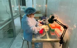 Hải Phòng: 43 trường hợp liên quan đến Bệnh viện Bệnh nhiệt đới Trung ương, 2 dương tính
