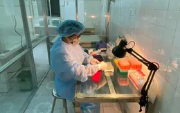 Hải Phòng phát hiện thêm 1 ca dương tính với SARS-CoV-2