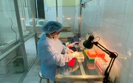 Hải Phòng phát hiện 2 ca dương tính với SARS-CoV-2