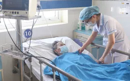 Phát hiện một ca mắc bệnh Whitmore tại Đà Nẵng