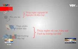 Cảnh báo ngộ độc thủy ngân từ nhiệt kế ở trẻ em