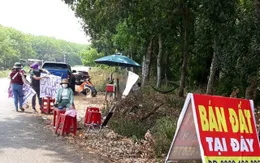 Bóc chiêu thức gây "sốt" đất ảo của mạng lưới cò mồi, sau tăng mạnh là giảm sâu