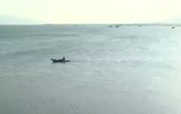 Thuê tàu cá để du lịch biển - rủi ro chực chờ