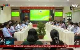 Triển khai ứng dụng công nghệ vào hoạt động môi trường