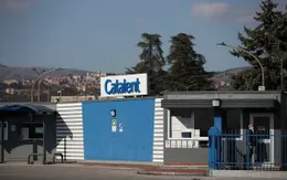 Hàng chục triệu liều vaccine COVID-19 "chui" được phát hiện ở Italy