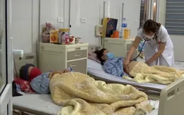 Mong có con trai, cô gái trẻ mua thuốc nam về uống khiến men gan cao gấp... 20 lần