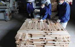 Xuất khẩu gỗ vẫn tăng 16% trong bối cảnh COVID-19