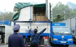 Khởi tố 1 công ty nhập gần 6 tấn găng tay đã qua sử dụng