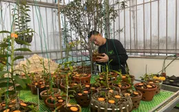 Nghệ nhân Nguyễn Văn Mạnh chia sẻ cách phòng bệnh cho lan vào mùa mưa