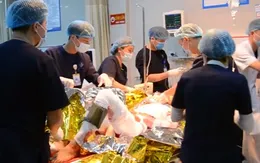 Quấn vào máy bóc gỗ, nam thanh niên bị lóc 50% da