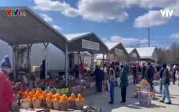 Đi chợ phiên ở một vùng nông thôn nước Mỹ